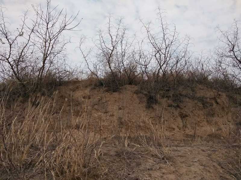 濮阳古城墙传承龙都文化精髓